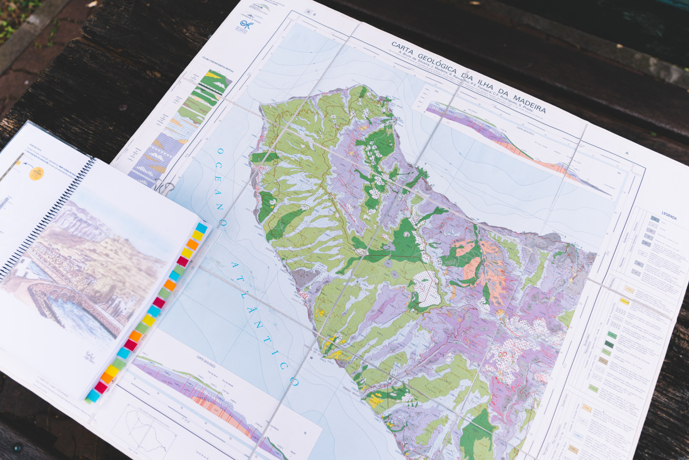 Um elefante a ser fotografado